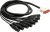 AVID DB25-XLRF DigiSnake, 1.2m