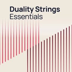 VSL Duality Strings Essentials