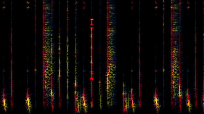 Steinberg SpectraLayers Elements 11