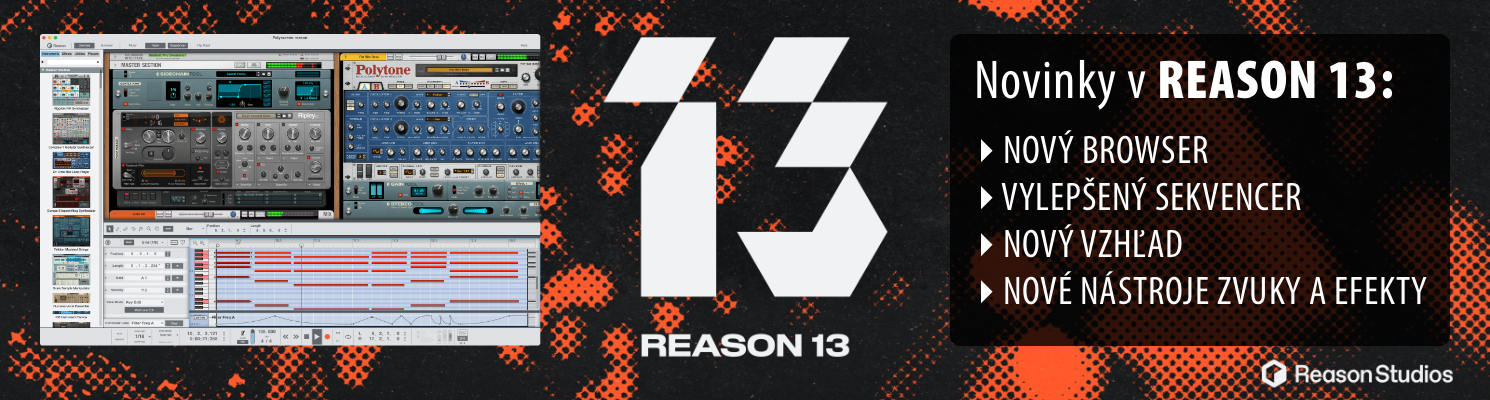 Reason 13