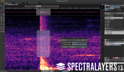 Steinberg SpectraLayers Pro 13 Comp. Crossgrade
