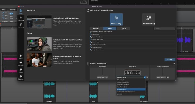 Steinberg WaveLab Cast 2