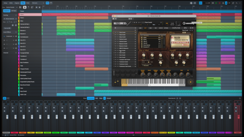Steinberg Dorico Pro 5 Comp. Crossgrade EDU